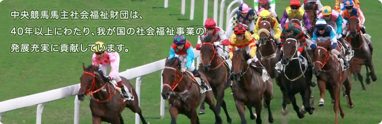 中央競馬馬主社会福祉財団 中央競馬馬主社会福祉財団